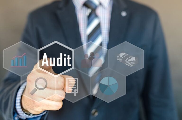Top Consultation and audit services